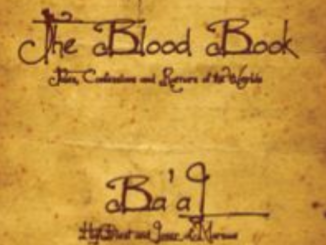 The Blood Book Ted Dekker