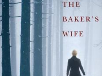 The Baker's Wife Erin Healy