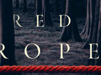 The Girl Behind the Red Rope Ted Dekker