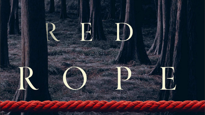 The Girl Behind the Red Rope Ted Dekker