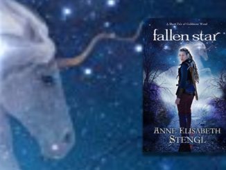 Fallen Star Anne Elisabeth Stengl