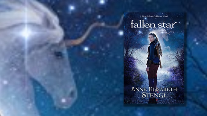 Fallen Star Anne Elisabeth Stengl