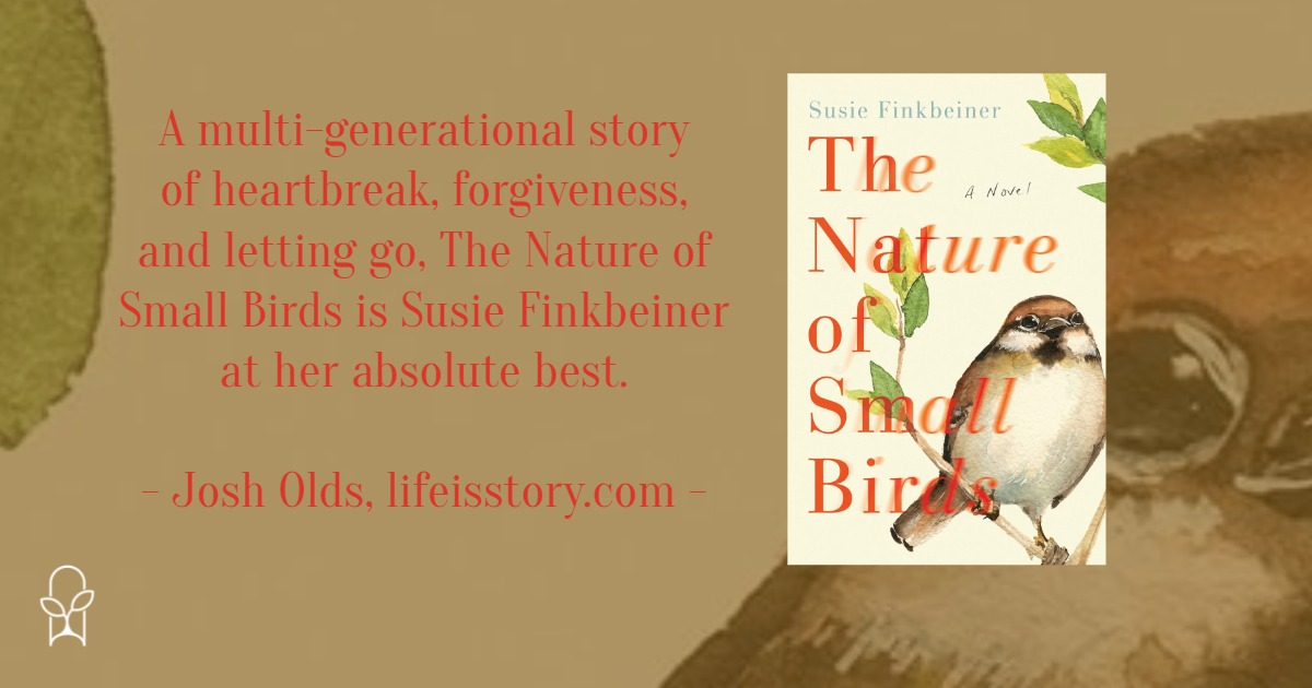 The Nature of Small Birds Susie Finkbeiner 3