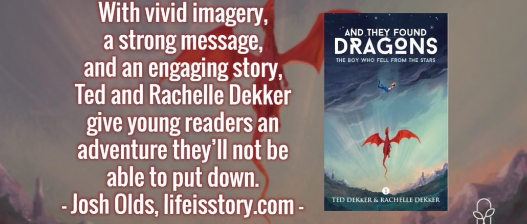 The Boy Who Fell From the Stars Rachelle Ted Dekker
