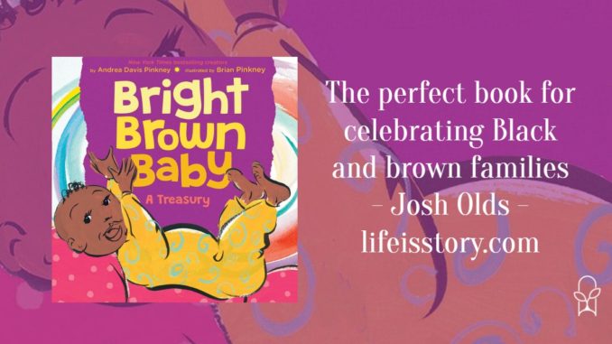 Bright Brown Baby Brian Andrea Pinkney