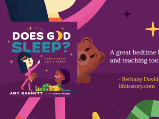 Does God Sleep Amy Gannett