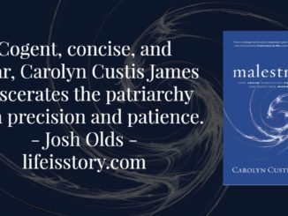 Malestrom Carolyn Custis James
